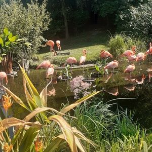 Meet your Posher, Leslieann